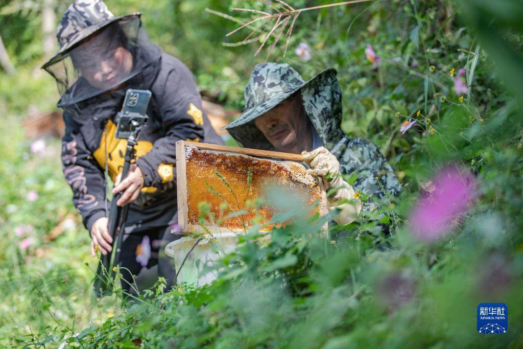 网上网投正规实体真人在线互动平台